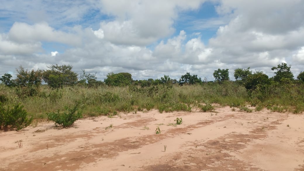 Fazenda Flexeiras