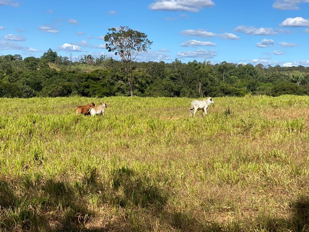 Fazenda Capão