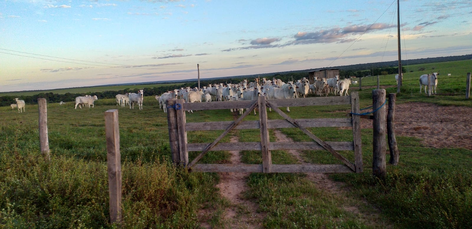 Fazenda Kennedy