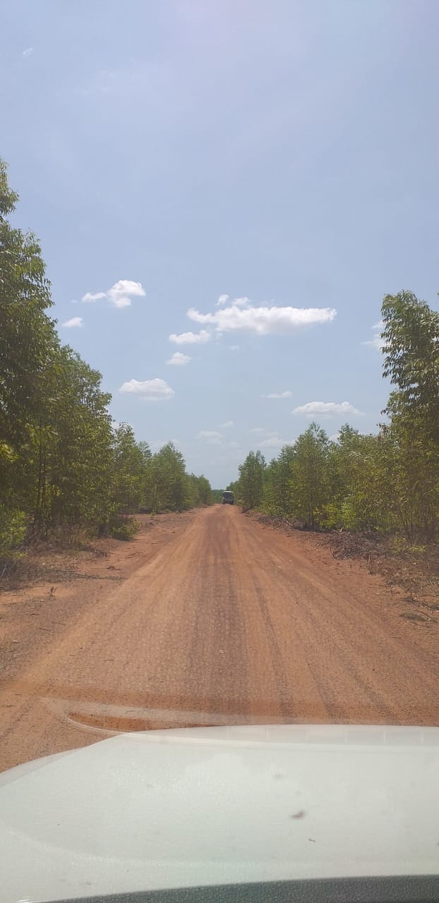 Fazenda Mangueira